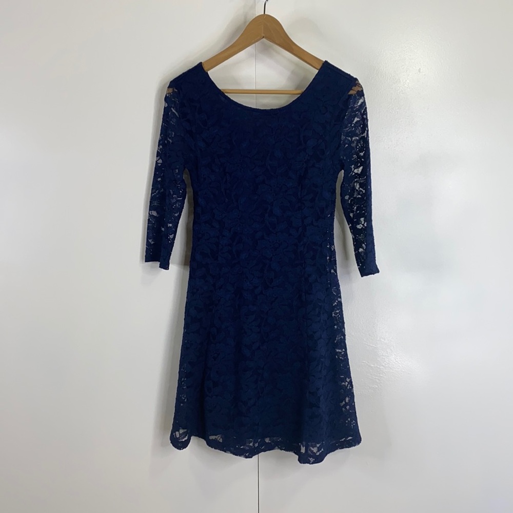 Lush Lace Fit & Flare Dress